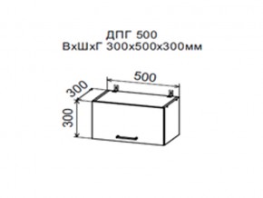 Шкаф верхний ДПГ500 горизонтальный в Добрянке - dobryanka.магазин96.com | фото