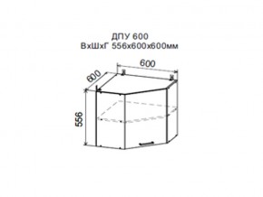 Шкаф верхний ДПУ600 угловой в Добрянке - dobryanka.магазин96.com | фото